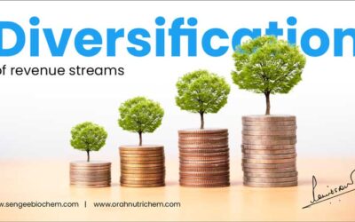 Your Guide to Various Income Streams